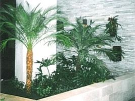 Jardim em Condomínios Jardim em condomínio