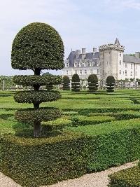 Jardim Francês Jardim Francês