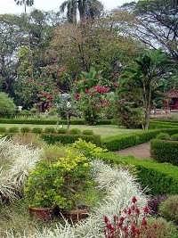 Jardim Indiano Jardim Indiano