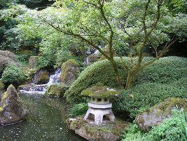 Jardim Japonês Jardim Japonês