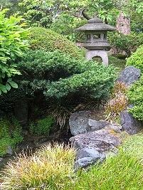 Jardim Japonês Jardim Japonês
