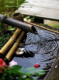 Jardim Japonês Jardim Japonês