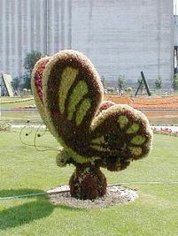 Topiaria Stuffed Topiaria Stuffed