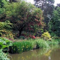 paisagismo mata ciliar