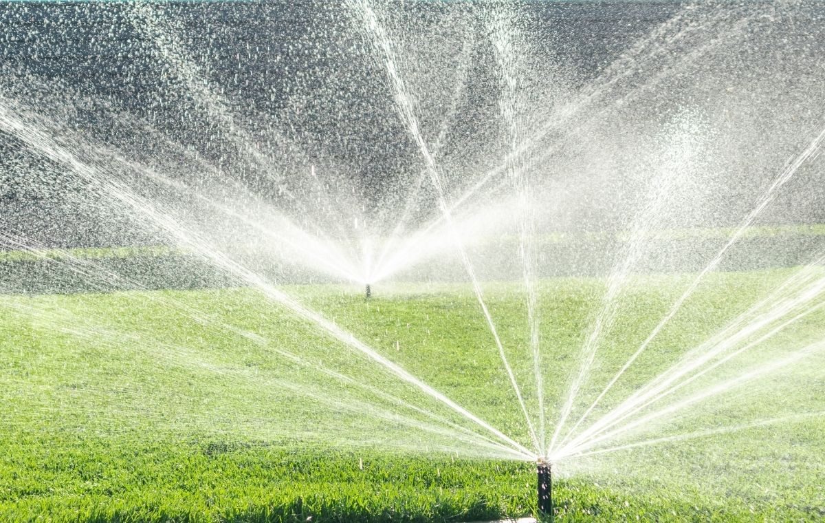 Cuidados com o gramado no verão 6 Aspersor de irrigação gramado