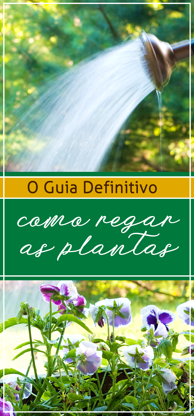 Como regar as plantas - O Guia definitivo 6 regar as plantas