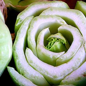 18 Vegetais que você pode fazer crescer de novo! 11 acelga