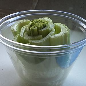 18 Vegetais que você pode fazer crescer de novo! 16 aipo