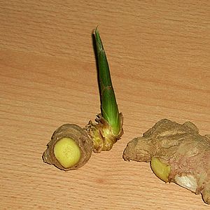 18 Vegetais que você pode fazer crescer de novo! 6 gengibre