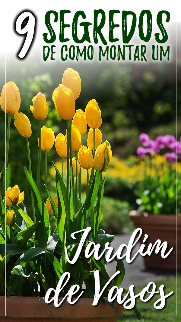 9 Segredos para compôr um Jardins de Vasos 7 vasos
