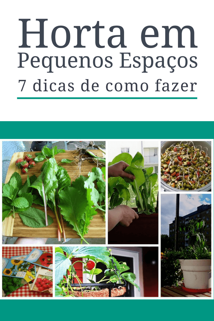 Como fazer uma horta em pequenos espaços urbanos 8 Horta em Pequenos Espaços