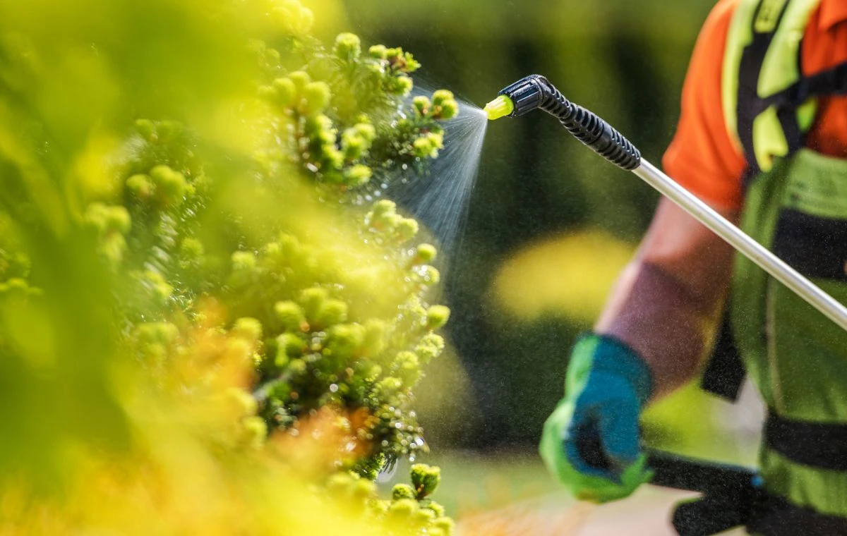 Pulverização costal para fertilização foliar pulverização costal para fertilização foliar