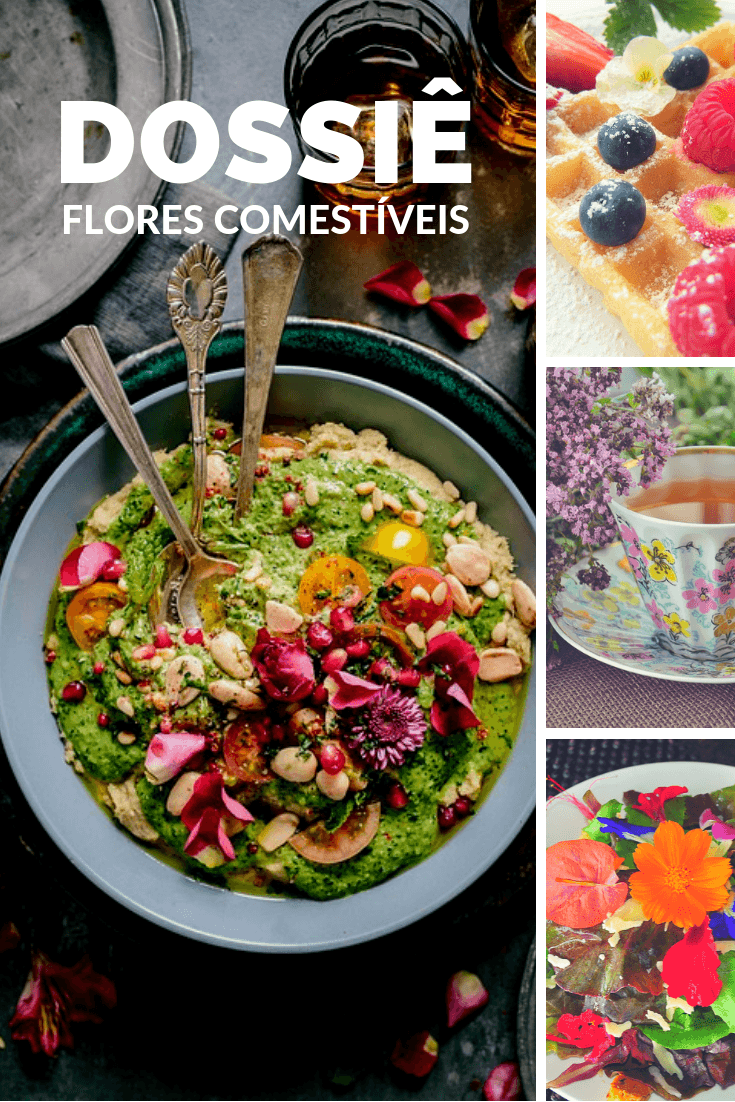 Dossiê de Flores Comestíveis 5 dossie flores comestiveis