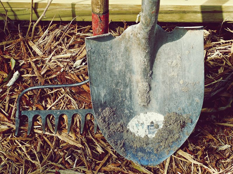 13 Dicas para cuidar das ferramentas de jardinagem 1 dirt 1867123 1920