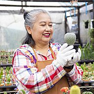 As 1001 noites, a Quarentena e a Jardinagem Caseira 3 sh