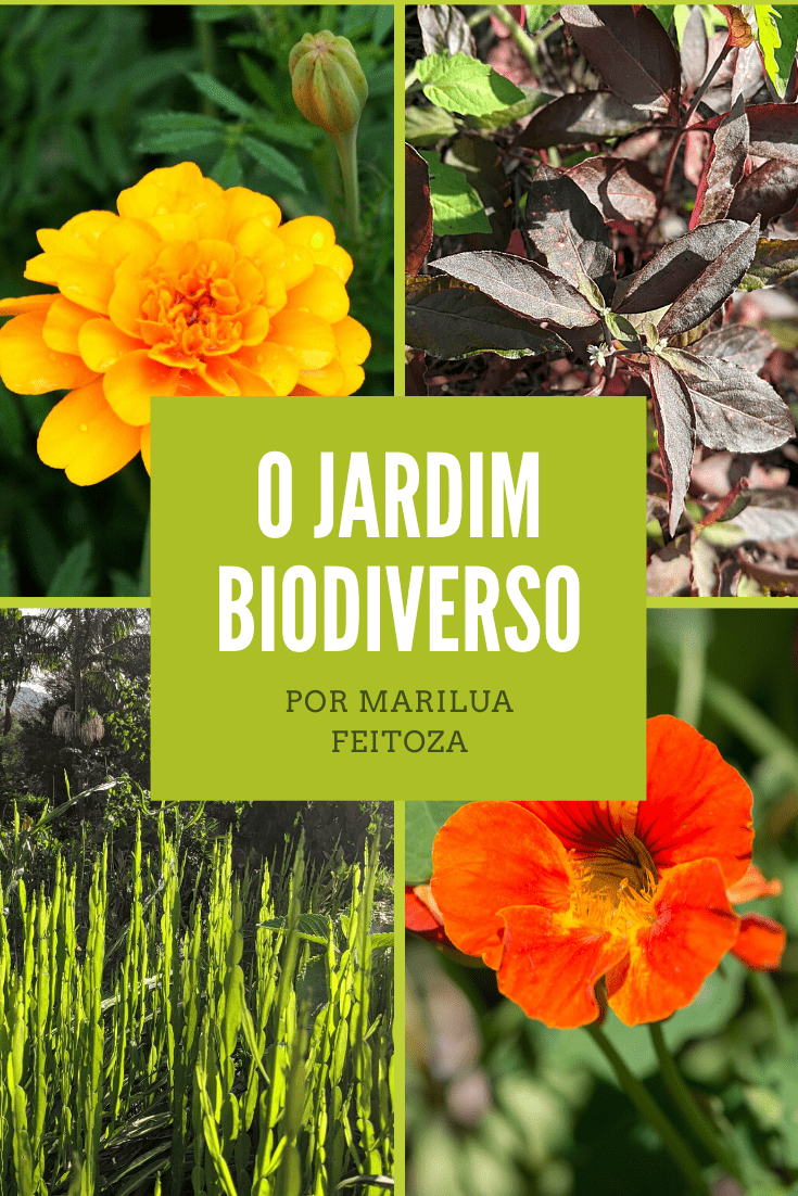 Os Jardins Biodiversos 4 1