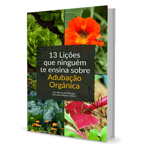 Adubação Orgânica