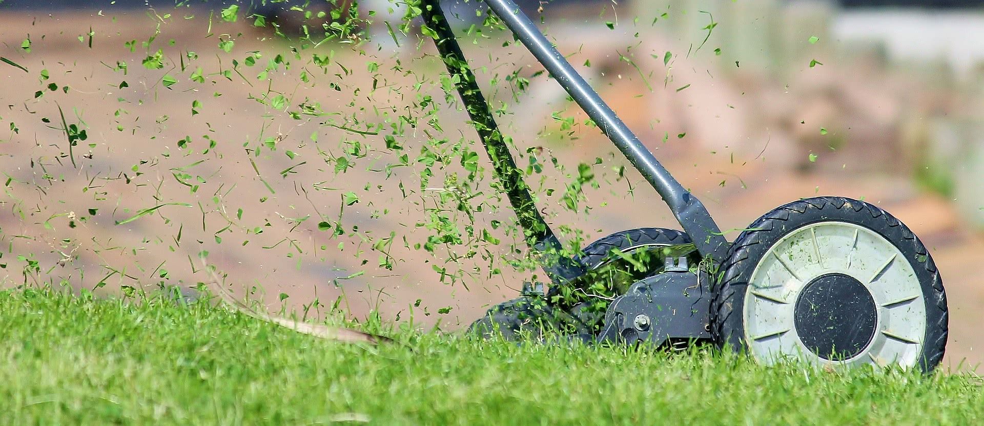 Como evitar falhas no gramado (+4 Causas de Problemas) 2 lawn mower 938555 1920