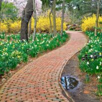 Início 19 Caminhos no jardim