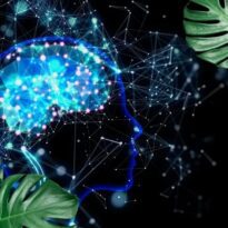 Início 12 Como a Inteligência Artificial pode auxiliar no social media da sua empresa de jardinagem