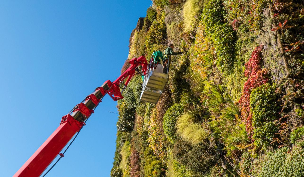 Jardinagem Vertical: Como ter um Jardim de Revista em Casa 24 Jardineiro suspenso na grua para manutenção de jardim vertical.
