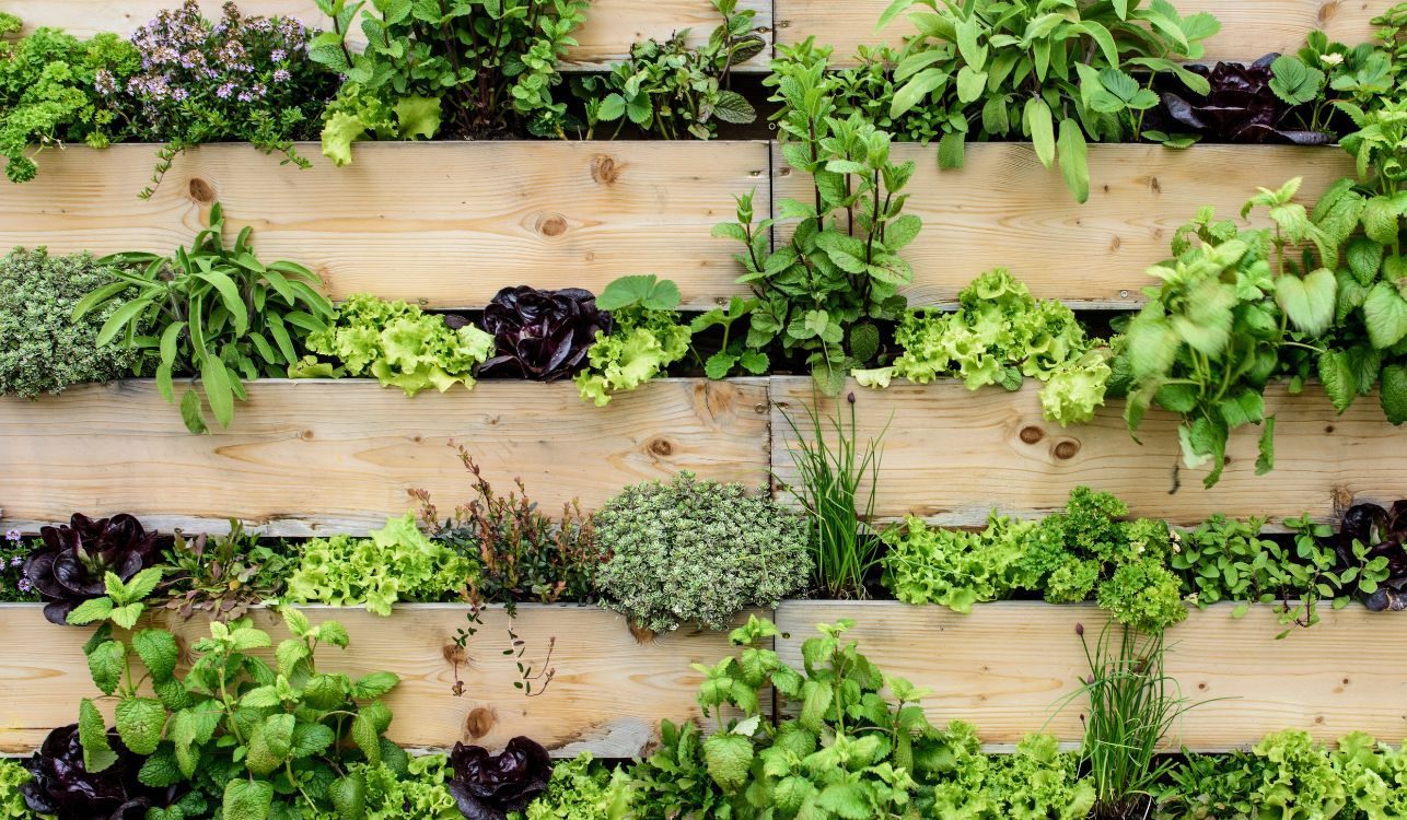 Jardinagem Vertical: Como ter um Jardim de Revista em Casa 26 Jardim Vertical de Pallet