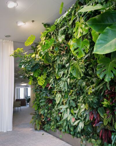 Jardinagem Vertical: Como ter um Jardim de Revista em Casa 36 Jardim Vertical na Sala de Estar