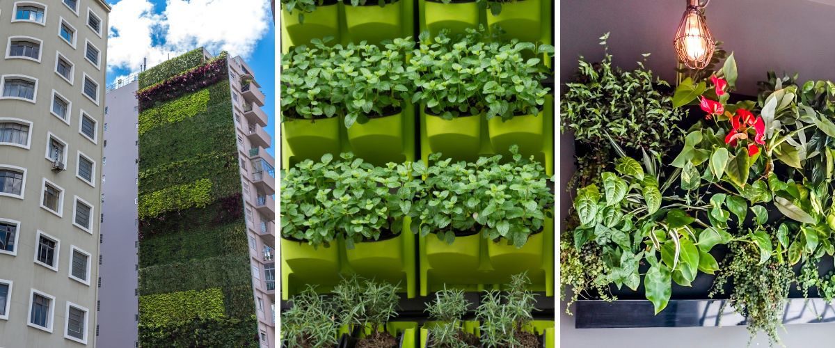 Jardinagem Vertical: Como ter um Jardim de Revista em Casa 21 Jardim vertical de fachada de edifício, Agricultura vertical e jardim vertical interno com iluminação