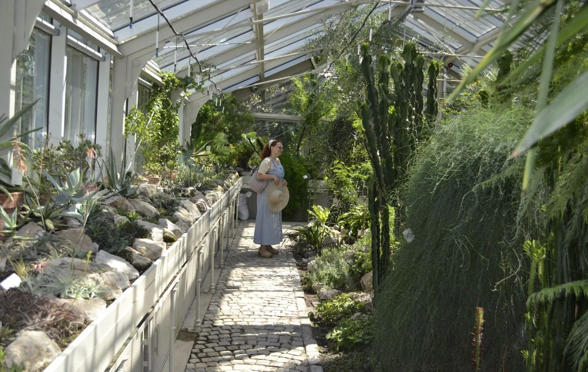 Jardim de Inverno: Conceito e História 11 Estufa no jardim botânico de Belgrado