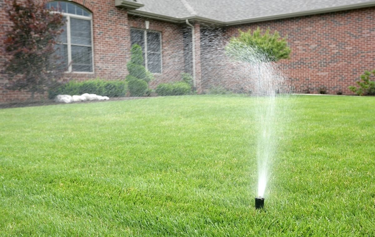 Como Escolher o Tipo de Grama Certo para o Jardim 3 Irrigação escamoteável em gramado.
