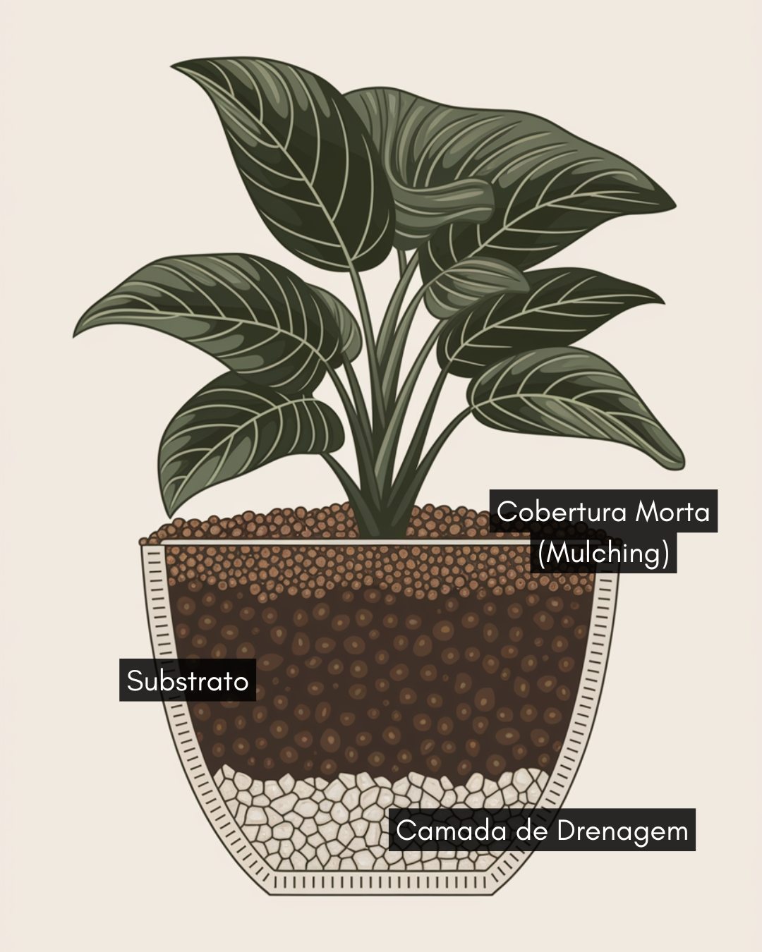 Faça você mesmo: Substrato Ideal para Plantas de dentro de Casa 13 As diferentes camadas de plantio.