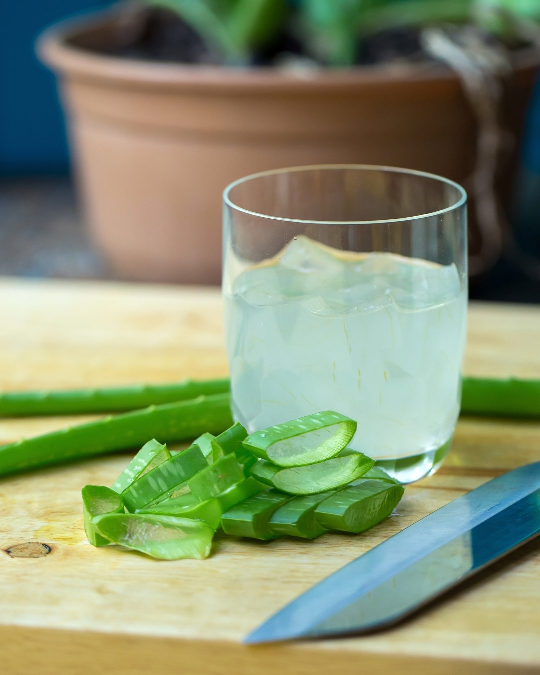 Babosa - Aloe vera 9 Gel de aloe em recipiente