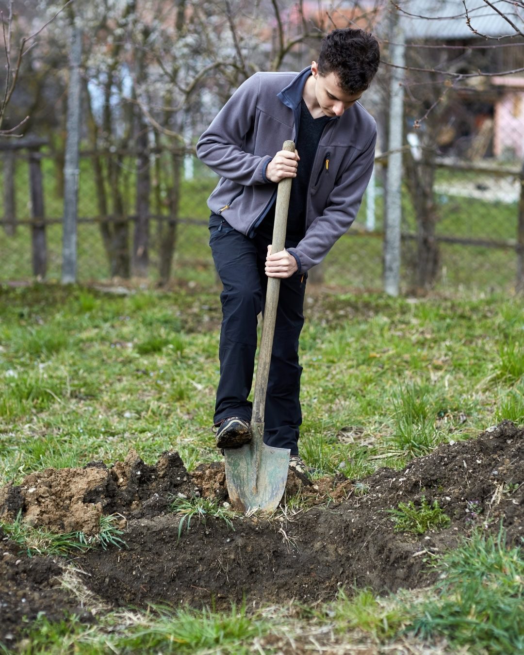 Como plantar uma árvore no jardim: passo a passo 11 Prefira fazer berços de plantio quadrados, e mais largos do que profundos.