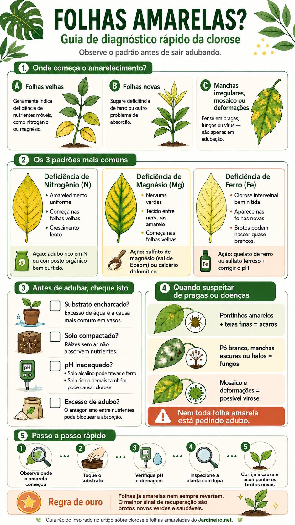 Folhas amarelas: Conheça as principais causas da clorose 13 Guia Rápido da Clorose. Salve no Pinterest
