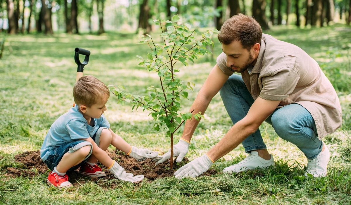 pai e filho plantando