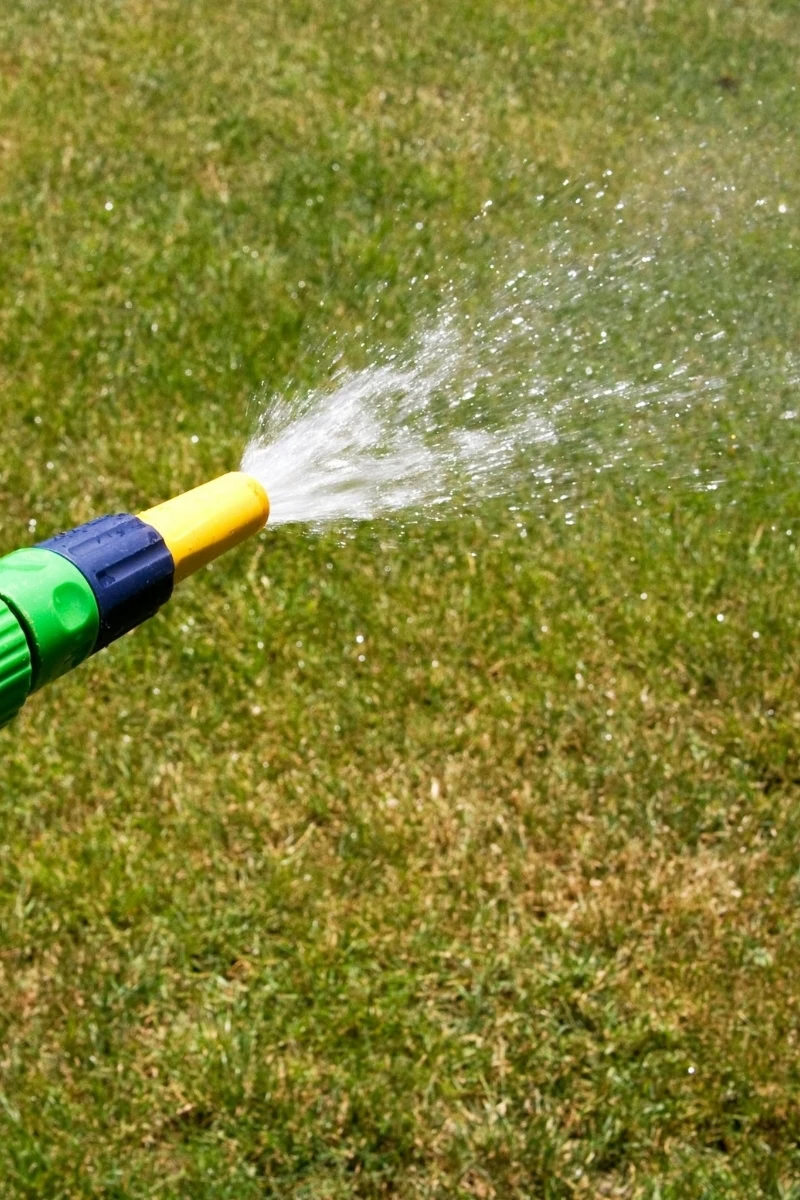 Adubação de gramados no outono: Como preparar para o frio 1 Regue bem em seguida à adubação.