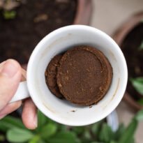 Será que pode colocar borra nas plantas?