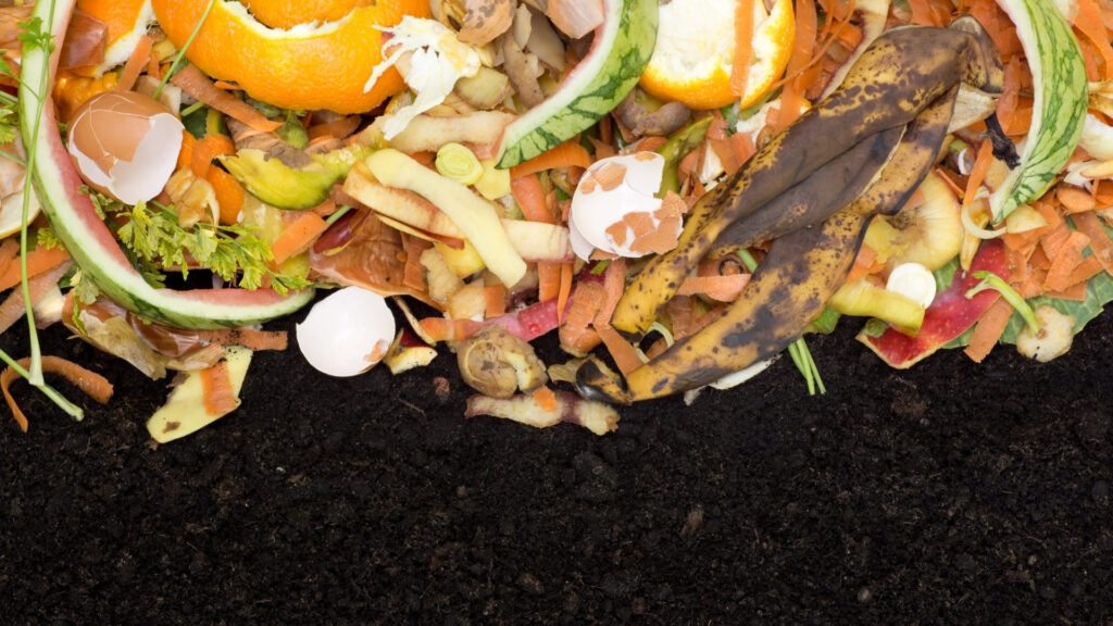 Guia de adubação e compostagem