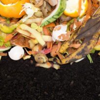 Guia de adubação e compostagem